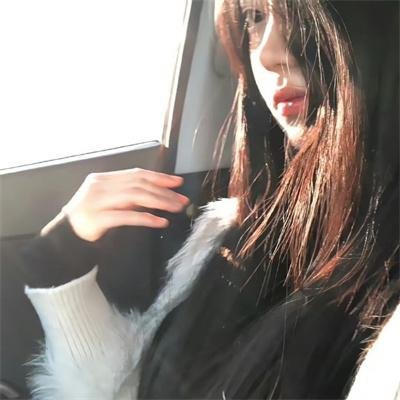 档案风暴